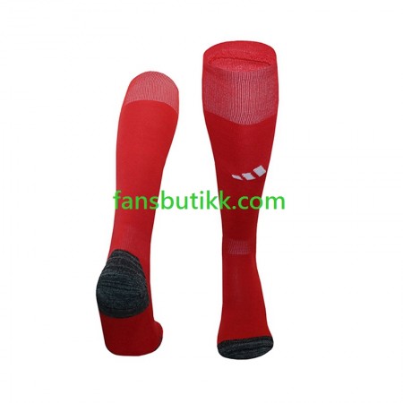 Benfica Hjemme Strømpe 2024-2025